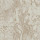 Taupe Taupe