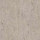 Beige Beige