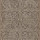 Taupe Taupe