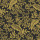 Black & Gold Black & Gold