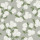 Grey Grey