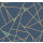 Navy Navy