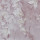 Blush Blush