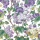 Lavender Dream Lavender Dream