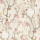 Coral Coral