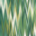 Forest Green Forest Green