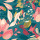Teal Blue & Coral Teal Blue & Coral