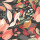 Charcoal Black & Red Charcoal Black & Red