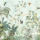 Forest Green Forest Green