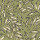 Olive Olive