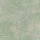 Pale Green Pale Green