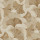 Taupe Taupe