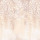 Beige Beige