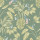 Forest Forest