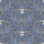 Navy Navy