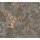 Taupe Taupe