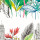Tropical Bright Tropical Bright