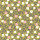 Olive Mix Olive Mix