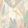 Blush & Apricot Blush & Apricot
