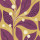 Mulberry Mulberry