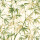 Willow Willow
