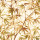 Golden Rod Golden Rod