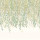 Sage & Ochre Sage & Ochre