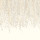 Parchment Parchment