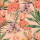 Coral Coral