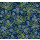 Navy Navy