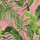Fuchsia Fuchsia