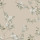 Taupe Taupe