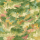 Meadow Mist Meadow Mist