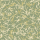Fern Fern