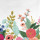 Rose Multi Rose Multi