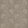 Taupe Taupe