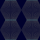 Navy Navy