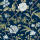 Navy Navy