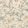 Neutral Neutral