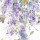 Lilac Lilac