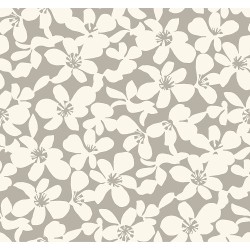 Product Image for BO6681