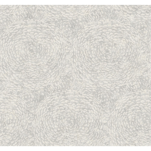 Product Image for BO6752