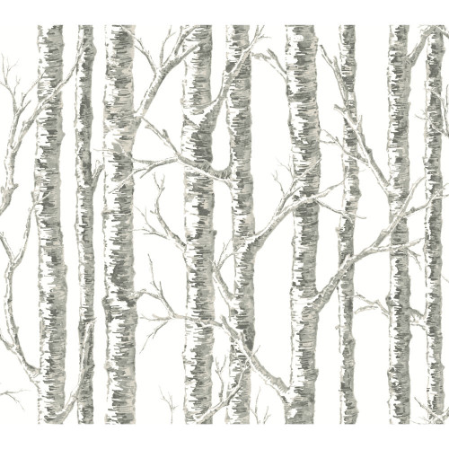 Product image for LS/BW3901