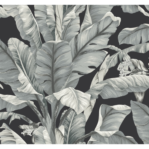 Product image for LS/BW3971