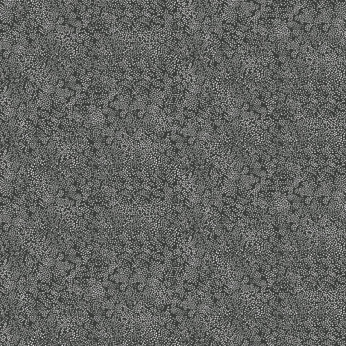Rifle Paper Co. Champagne Dots
