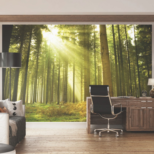 Roomset Image