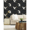 Black & White Soaring Cranes