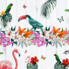 Origin Murals Birds Of Paradise Mural